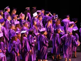 diploma ou certificado13